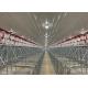 200 Sows Turn Key Swine Piggery Tools And Equipments Auger Conveying