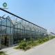 12m Large Agricultural Glass Greenhouse Galvanized Steel Frame Truss