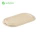 White Biodegradable Take Away Containers Disposable Eco Friendly Takeaway Packaging Lid