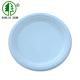 9in Biodegradable Sugarcane Bagasse Plates