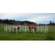 Back Yard Garden Animal Husbandry Iron Temporary Corral Fencing