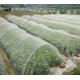 Insect Proof Nylon Garden Netting Customized Bird Netting For Vegetable Garden