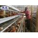 Galvanized Battery H Type Layer Chicken Cage 10000 Birds Poultry Farm Use