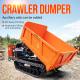 Weather Proof Off Road Track Dump Truck Compact Dumpers 3000kg