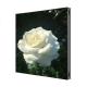P3.9 Outdoor Fixed LED Display Screen 1000x1000mm Aliuminum Profile Cabinet