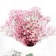 Multicolor Beautiful Dried Flowers Baby'S Breath Wedding Table Decorations
