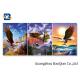 3d Animation 3d Pictures Natural Animation Of Flying Eagle For Indoor / Hotel Wall Poster