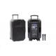 15 Inches Party Rechargeable Trolley Speaker 50W RMS Power 2 Way Type