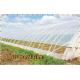 Agricultural Film Greenhouse Film Agricultural greenhouse Plastic Film