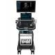 Ergonomic Console 64 Channel Portable Veterinary Ultrasound Machine For Animals