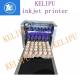 Egg Inkjet Coding Equipment / Continuous Ink System Printer With Six 45ML Ink