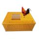 10 Chicken Plastic 12.25 Inches Detachable Poultry Transport Cage