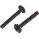 M6 Black Oxide Furniture Screw Bolts High Precision Iron Material With Washer