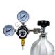 Dual Gauge CO2 Beer Regulator Co2 Primary Regulator Pressure Regulator Cylinder
