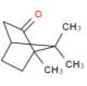 Cas No 76-22-2 Sds Cas 76-22-2 Chemical Camphor Extraction For Hair Growth Extra Pure