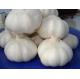 High Quality New Crop/Fresh Garlic - Chinese Shandong Garlic