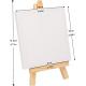 OEM Mini Easel Canvas And Paint Set Tabletop Craft Projects Canvas And Stand Set