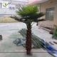 UVG PTR011 7ft Artificial miniature plastic palm tree with natural trunk for indoor decor