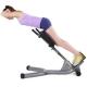 Muscle / Abdominal Exercise Equipment , Sit Up And Back Extension Bench