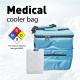 Medication Insulated Soft Cooler Bag Diabetic 15L Cold Box And Vaccine Carrier