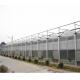 Tomato Grow Agriculture Greenhouses Manufacturers in Venlo Style with PC Sheet Cover