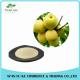 Natural Sydney / Snow Pear Fruit Juice Powder