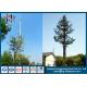 Professional Telecommunications Towers , Disguised Pine Tree Tower