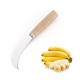 Polished Curved Fruit Knife L17.6cm W4.3cm For Grapefruit Pineapple Banana