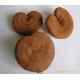 Reishi Mushroom Extract with 10%-50% Polysaccharides