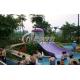 Playground Swimming Pool Water Slide Multi Color Eco-friendly