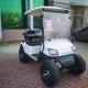 OEM Mini Aetric 2 Seater Golf Cart 30mph With Lead Acid Battery