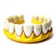 Longevity And Durability A Lifetime Investment With Our Ceramic Dental Crowns