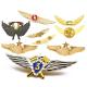 Custom Design Metal Enamel Pins Badges Gold Plating Engraved Airline Wings Pin Badge For Clothing