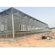 Agricultural Tempered Glass Venlo Type Greenhouse With 48mm Column