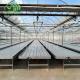 Flood Trays Greenhouse Benches Plastic Hydroponic Table Width 1.22m 1.55m 1.7m