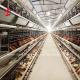 2.2m Poultry Farming Cage System , 9 Tiers Battery Cage For Layers Rose