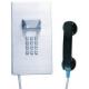 304ss Anti Vandal Emergency Voip Phone Hotline RoHS Approved