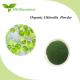 Organic Chlorella And Spirulina Powder Tablets Nutritional Supplement