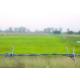 500 Meters Double Twisted PVC Coated Steel Barbed Wire Price Per Roll