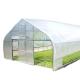 Plastic Film Tunnel Greenhouse Resists Corrosion Sharp Arch Gothic Greenhouse