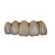 Easy Maintain Orthodontic PFM Porcelain Dental Crown Colour Stability