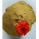 CAS 36290-04-7 Naphthalene Based Superplasticizer SNF Yellow Brown Powder