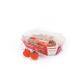 Cherry Fruit And Vegetable Packaging Boxes , Folded Disposable Food Tray Boats