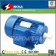 Y series 220V induction electric motor