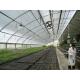 20.000kg Package Gross Weight Multi Span Tomato Cucumber Strawberry Growing Greenhouse