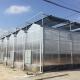 Inside Outside Shading System Hot Galvanized Steel Frame Large Polycarbonate Greenhouse