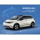 Mini Byd Dolphin Chinese EV Car Mini Pure Electric 5 Seater