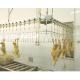 Customized Automatic Halal Poultry Slaughtering Equipment For Chicken Plucking Process