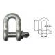 5 Ton Eurnpean D Shackles With Screw Pin OEM