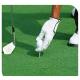 Tennis Court Golf Green Turf Grass Younger Loving Artificial Green Swad